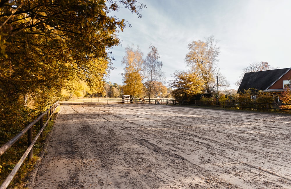 Leevster-Hof-Anne-Kathrin-Glandorf-Pferdepension-Islandpferdehof-islandpferde-spezialrassen-reitanlage-pferdestall-reitstall-bremen-lilienthal-osterholz-niedersachsen-13-min