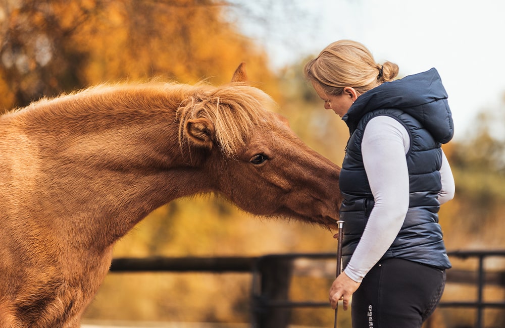 Leevster-Hof-Anne-Kathrin-Glandorf-reitlehrerin-pferdetraining-pferdephysiotherapeutin-reitunterricht-beritt-pferdeausbildung-bremen-lilienthal-osterholz-niedersachsen-6-min