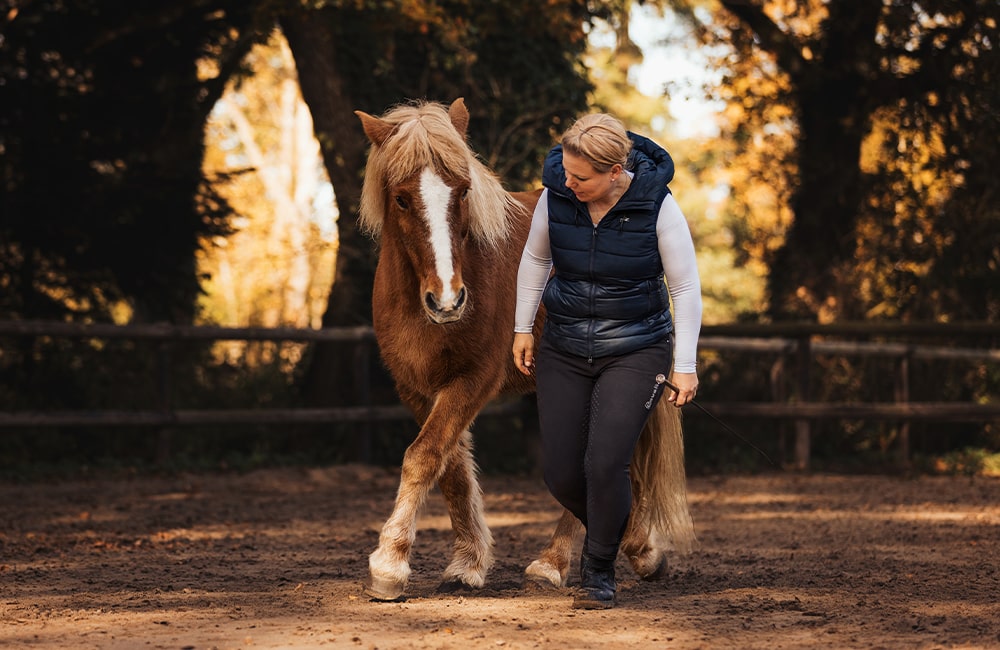 Leevster-Hof-Anne-Kathrin-Glandorf-reitlehrerin-pferdetraining-pferdephysiotherapeutin-reitunterricht-beritt-pferdeausbildung-bremen-lilienthal-osterholz-niedersachsen-7-min