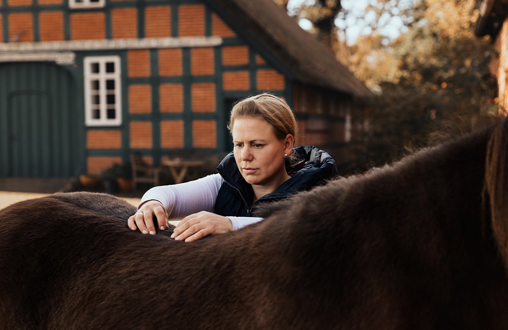 Leevster-Hof-Anne-Kathrin-Glandorf-reitlehrerin-pferdetraining-pferdephysiotherapeutin-reitunterricht-beritt-pferdeausbildung-bremen-lilienthal-osterholz-niedersachsen-9-min