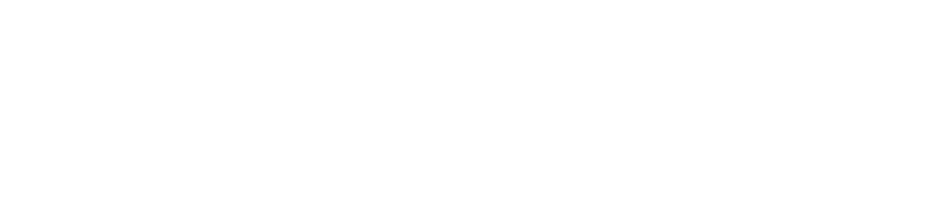 Leevster Hof - Aktivstall für Islandpferde & Spezialpferderassen