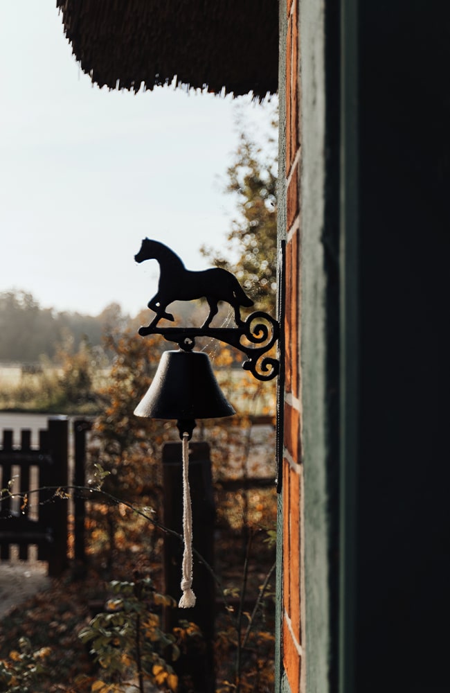 Leevster-Hof-Anne-Kathrin-Glandorf-Pferdepension-Islandpferdehof-islandpferde-spezialrassen-reitanlage-pferdestall-reitstall-bremen-lilienthal-osterholz-niedersachsen-23-min