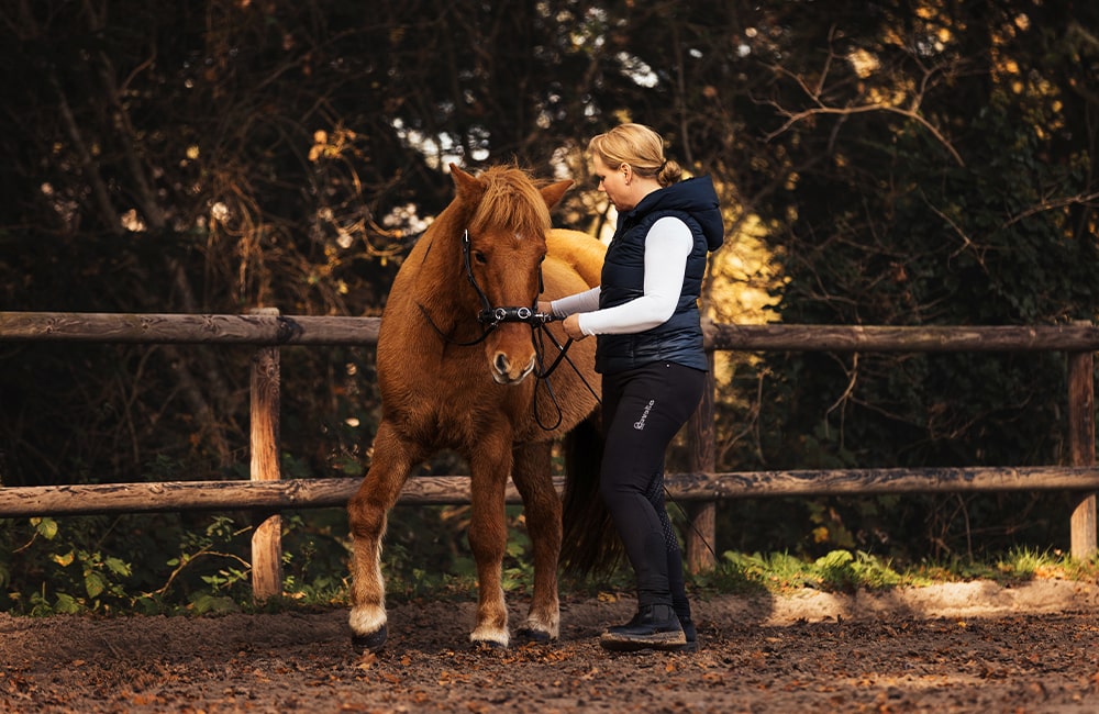 Leevster-Hof-Anne-Kathrin-Glandorf-reitlehrerin-pferdetraining-bodenarbeit-beritt-pferdeausbildung-bremen-lilienthal-osterholz-niedersachsen-21-min
