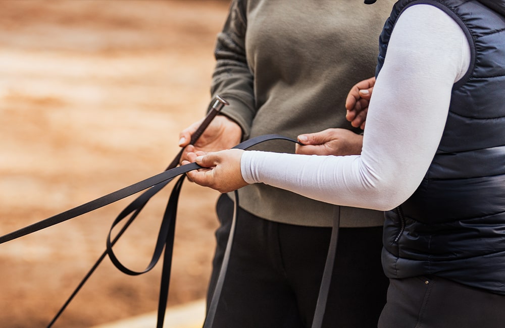 Leevster-Hof-Anne-Kathrin-Glandorf-reitlehrerin-pferdetraining-pferdephysiotherapeutin-reitunterricht-beritt-pferdeausbildung-bremen-lilienthal-osterholz-niedersachsen-15-min